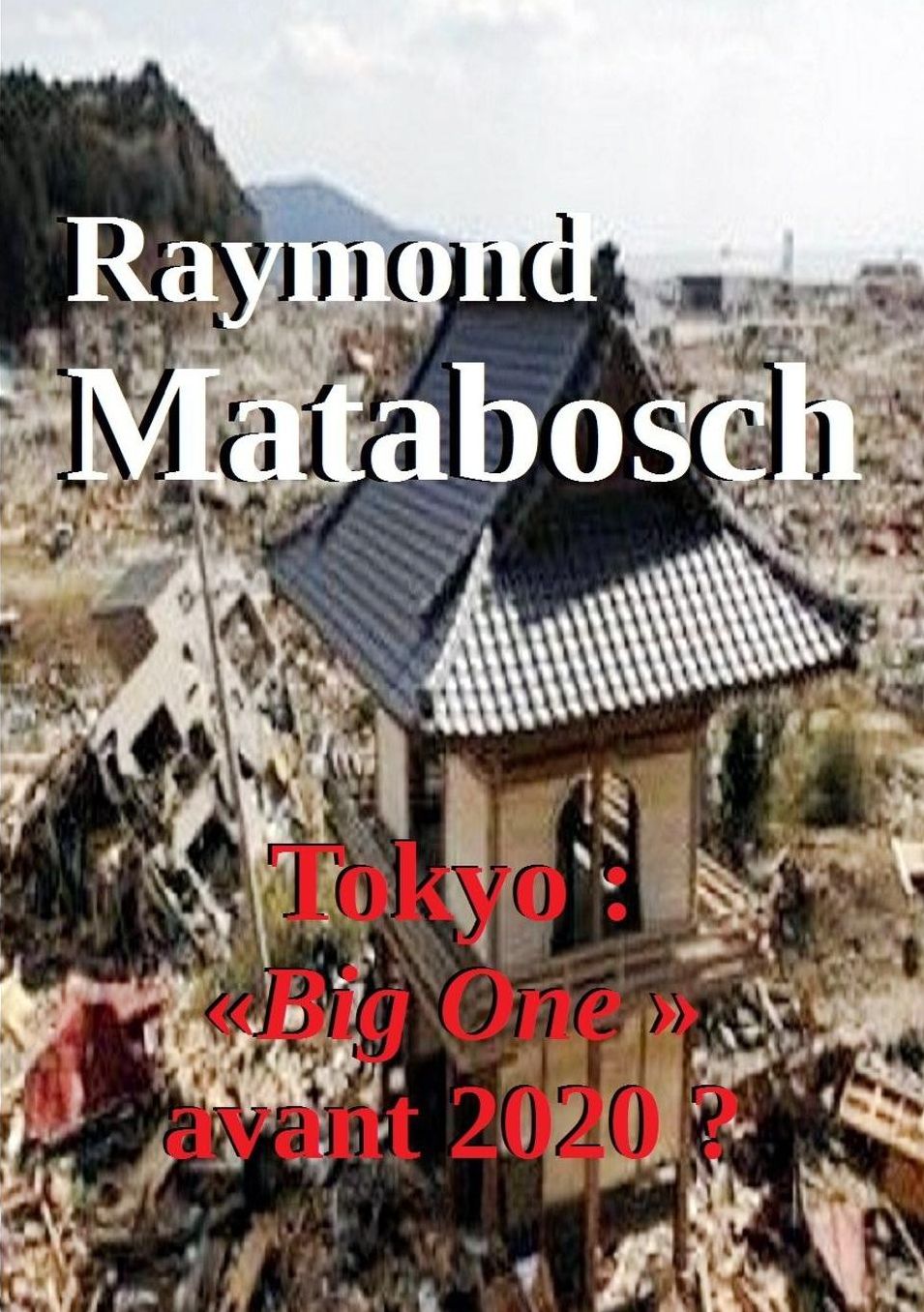 Tokyo Big One avant 2020 ?