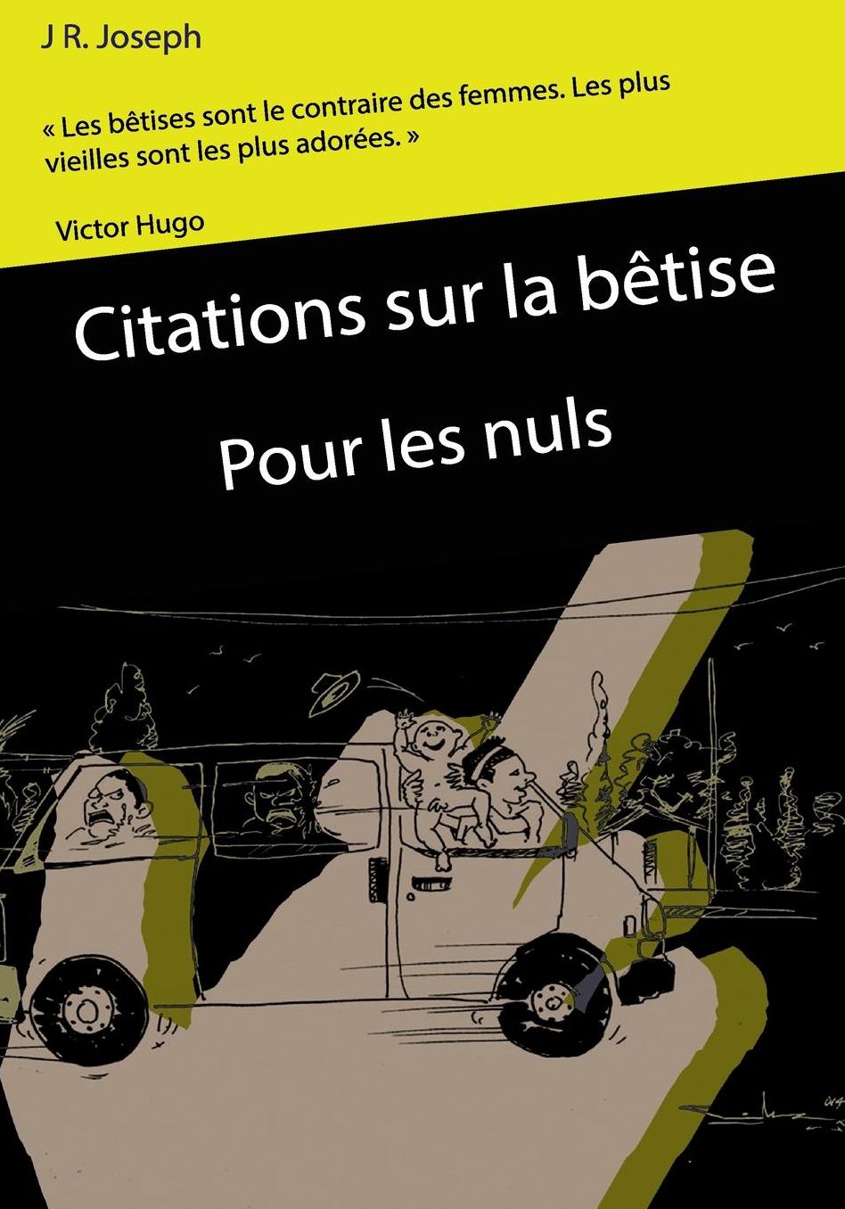 citations sur la betise pour les nuls