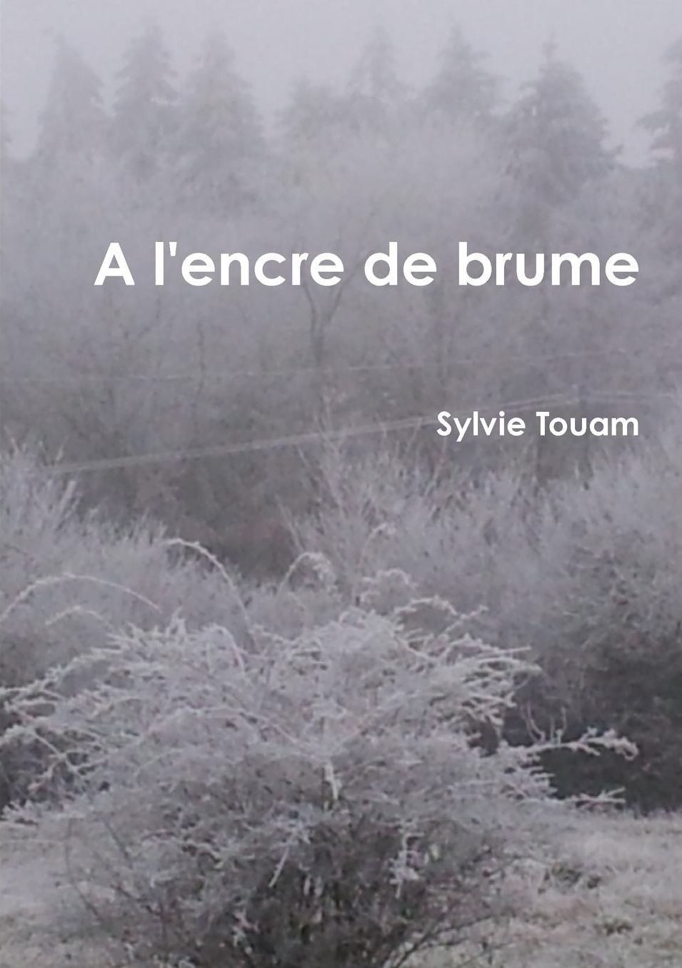 A l'encre de brume...