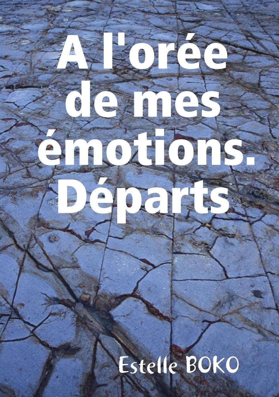 A l'orée de mes émotions. Départs