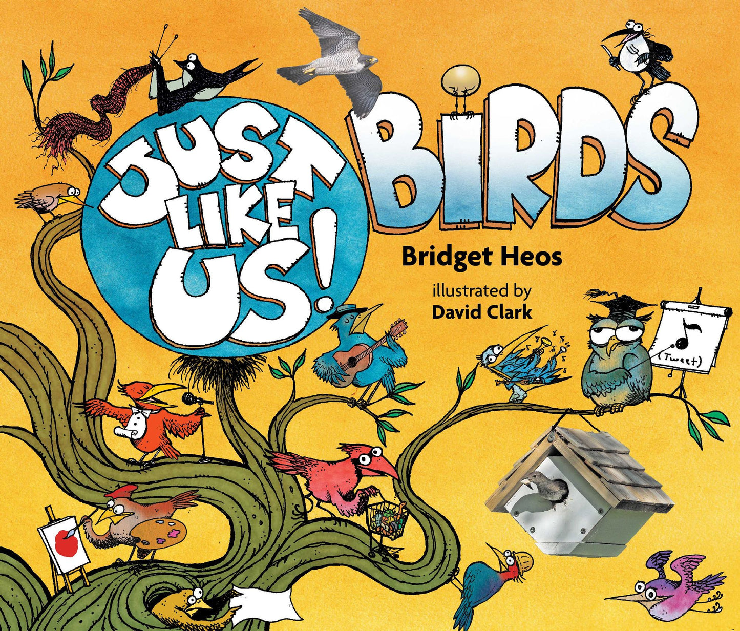 Just Like Us! Birds