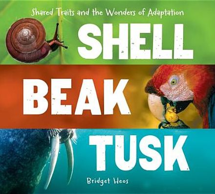 Shell, Beak, Tusk: Shared Traits and the Wonders of Adaptation