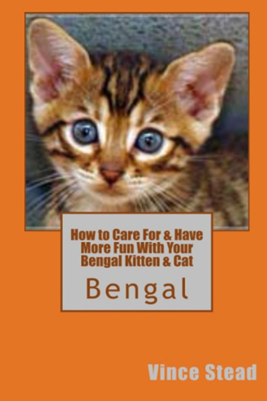 How to Care For & Have More Fun With Your Bengal Kitten & Cat