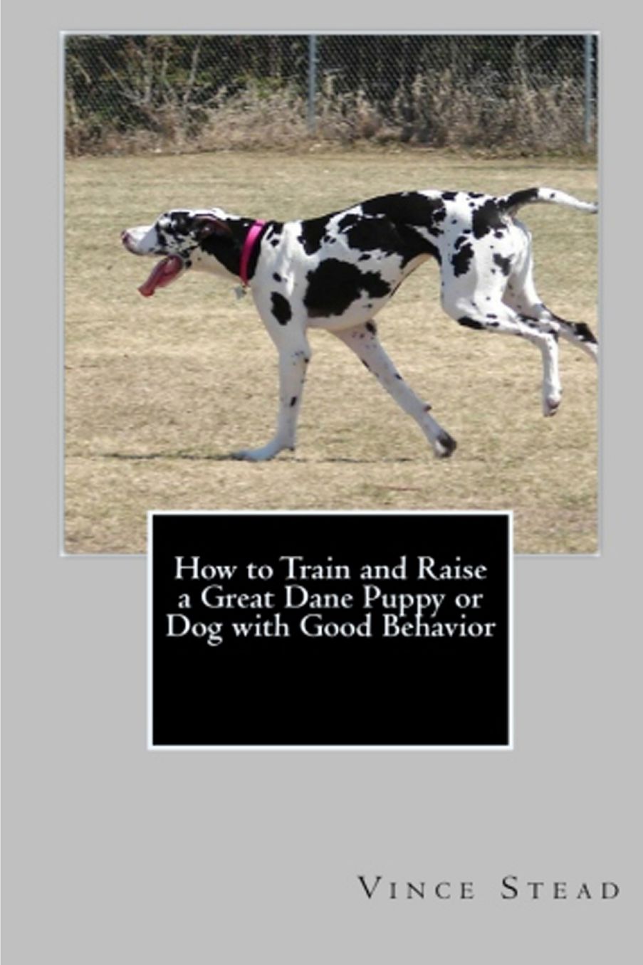 How to Train and Raise a Great Dane Puppy or Dog with Good Behavior
