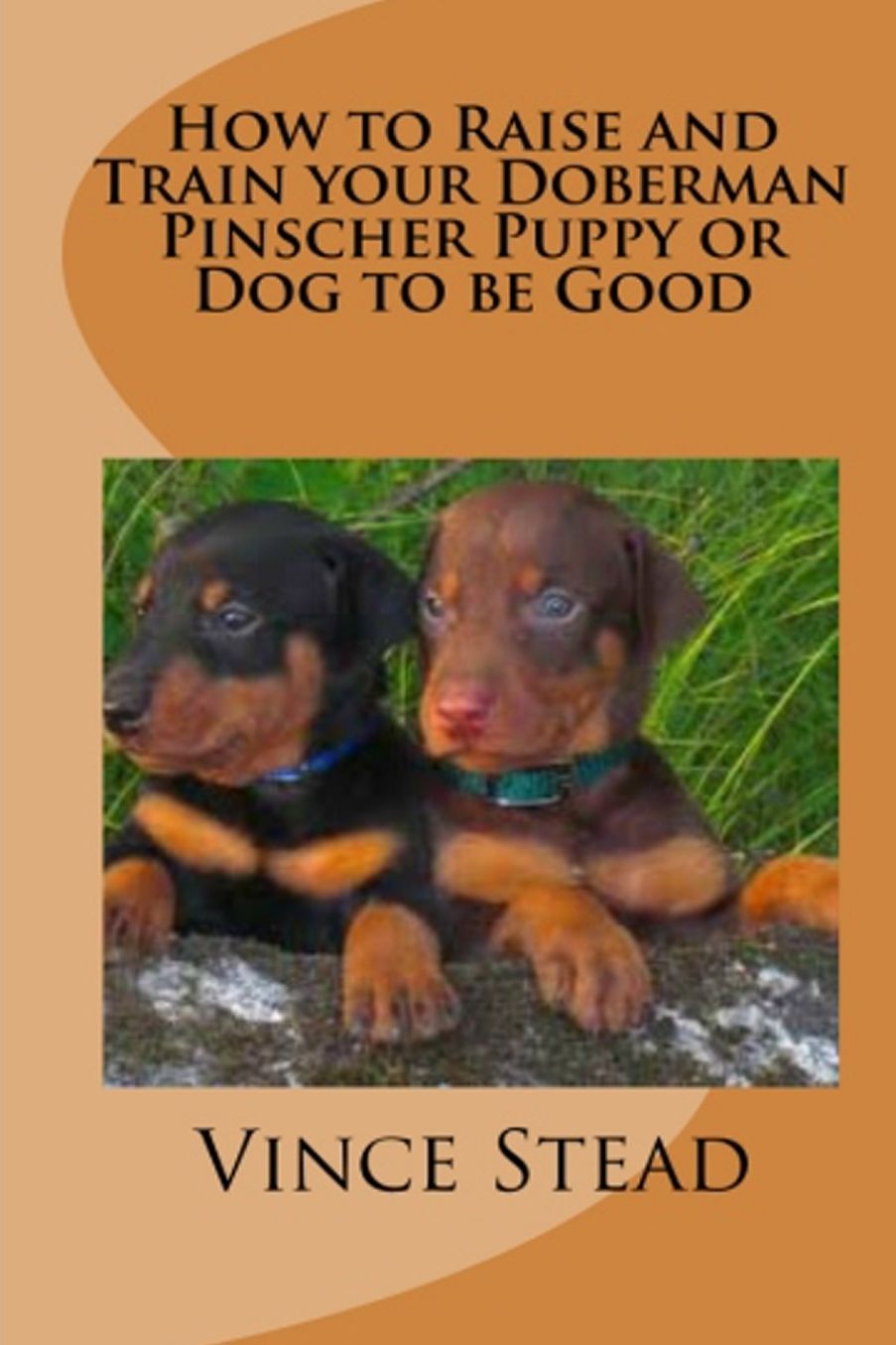 How to Raise and Train your Doberman Pincher Puppy or Dog to be Good