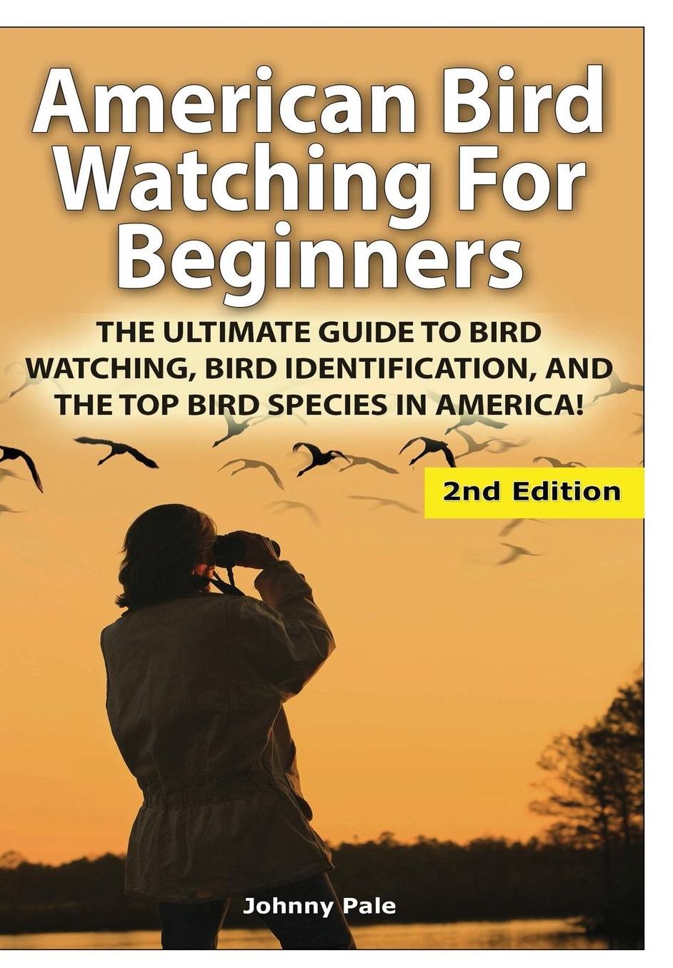 American Bird Watching for Beginners