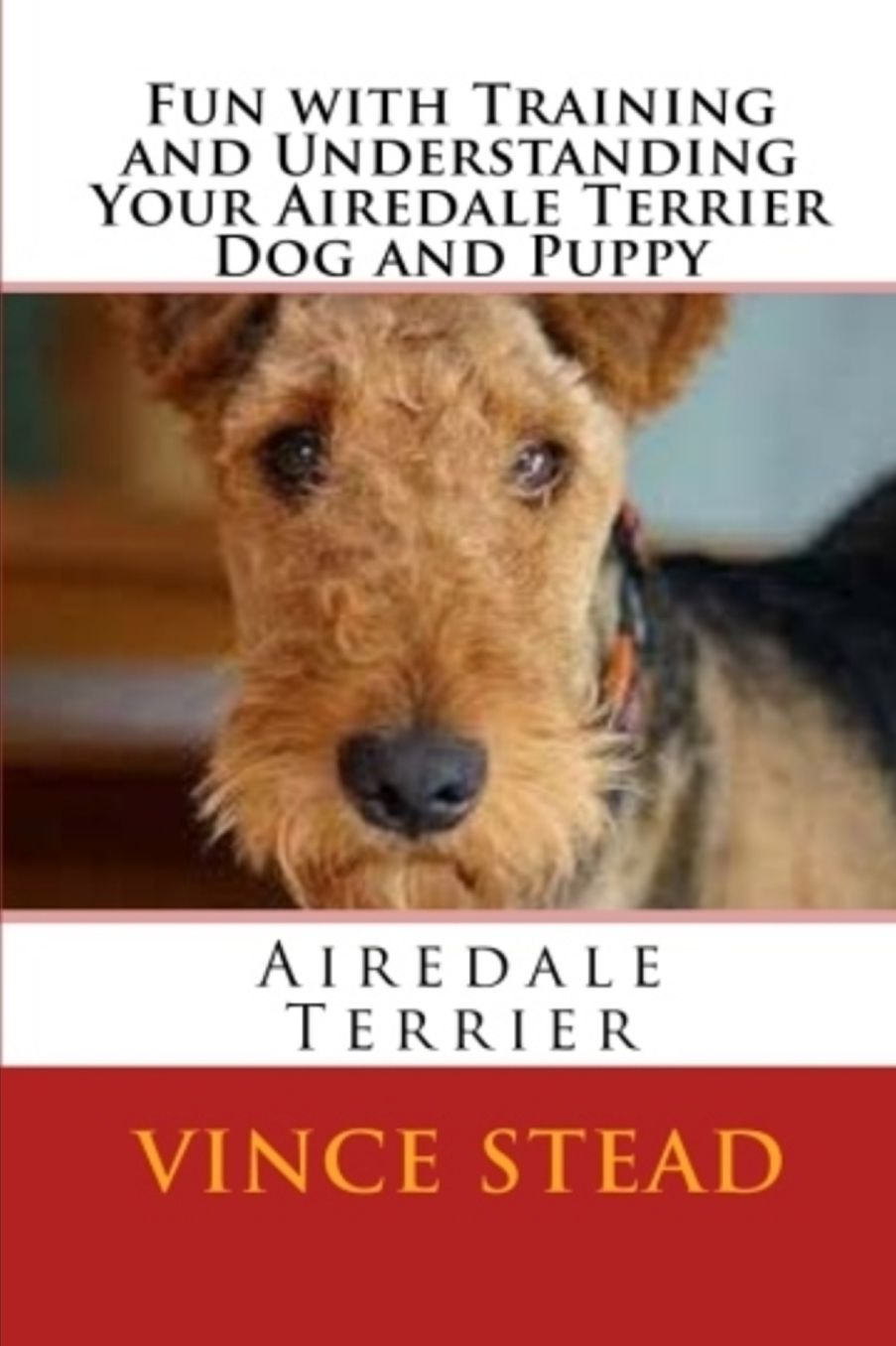 Fun with Training and Understanding Your Airedale Terrier Dog and Puppy