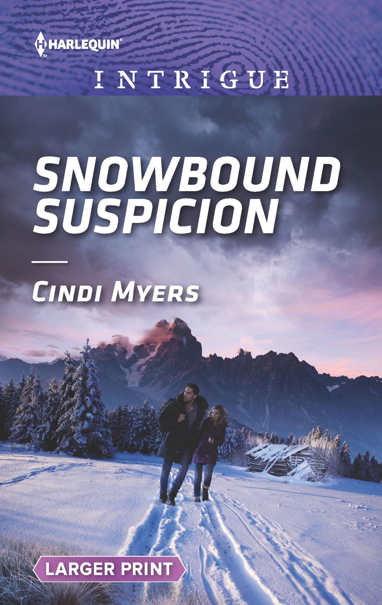 Snowbound Suspicion