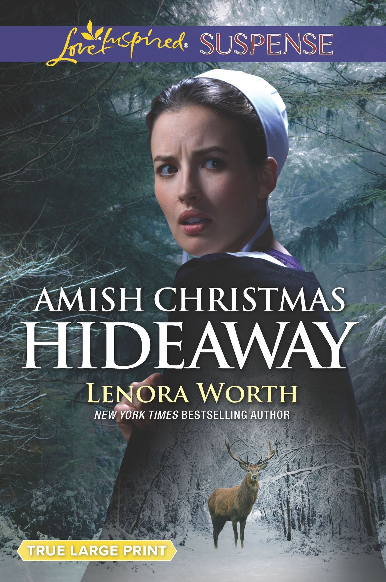 Amish Christmas Hideaway