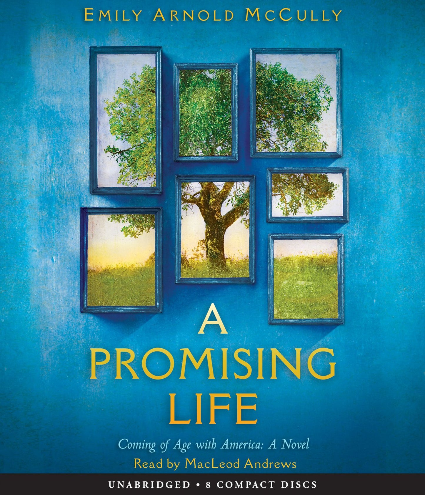 A Promising Life: Coming of Age with America, A Novel