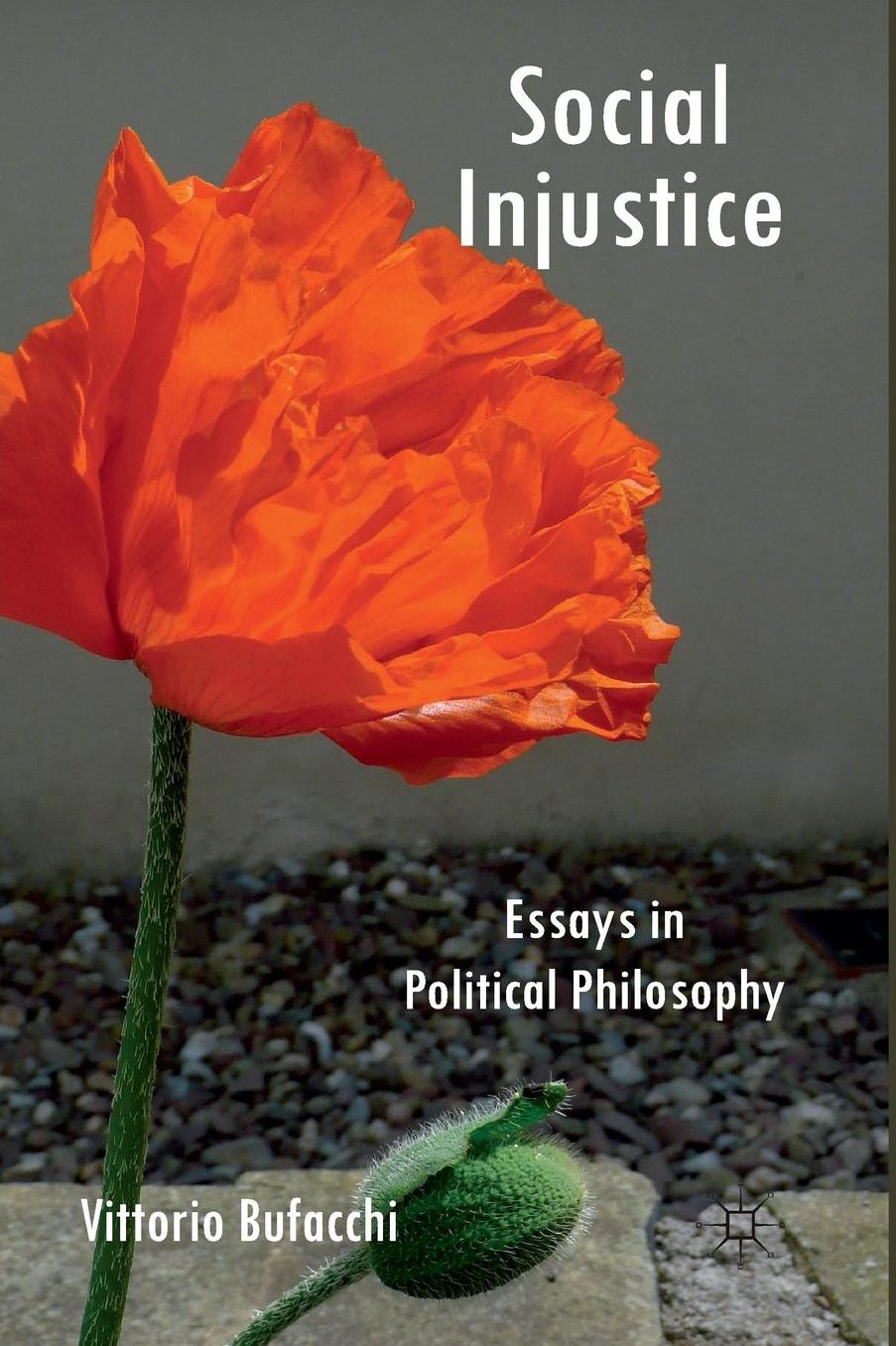 Social Injustice: Essays in Political Philosophy
