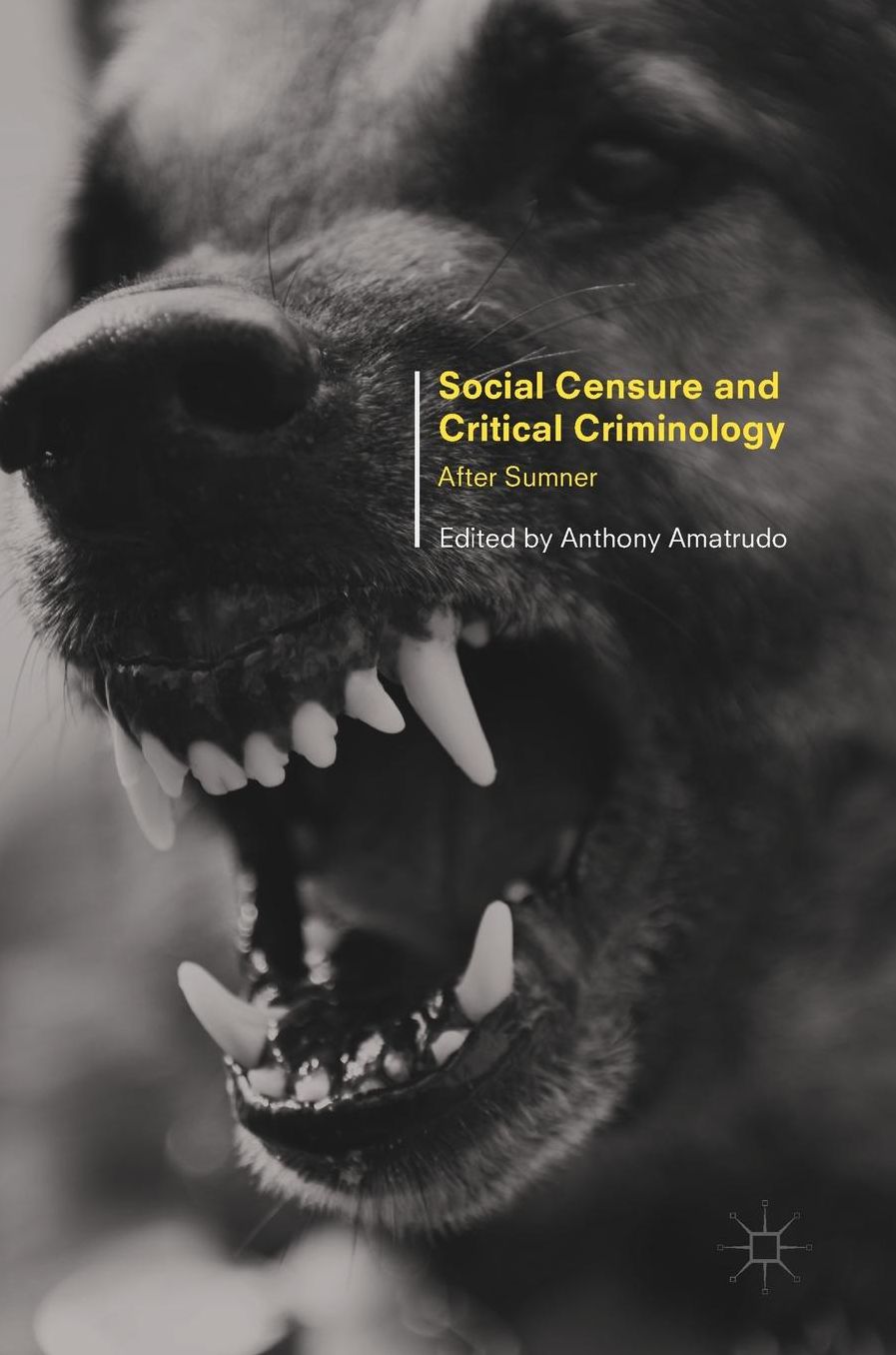 Social Censure and Critical Criminology: After Sumner