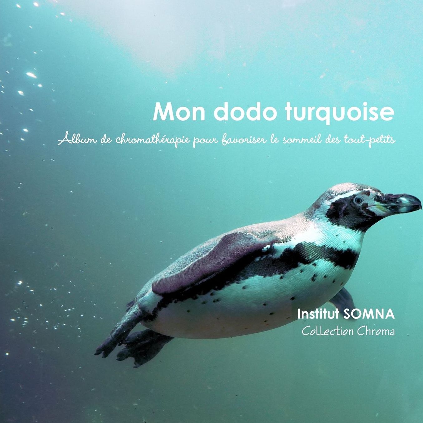 Mon dodo turquoise