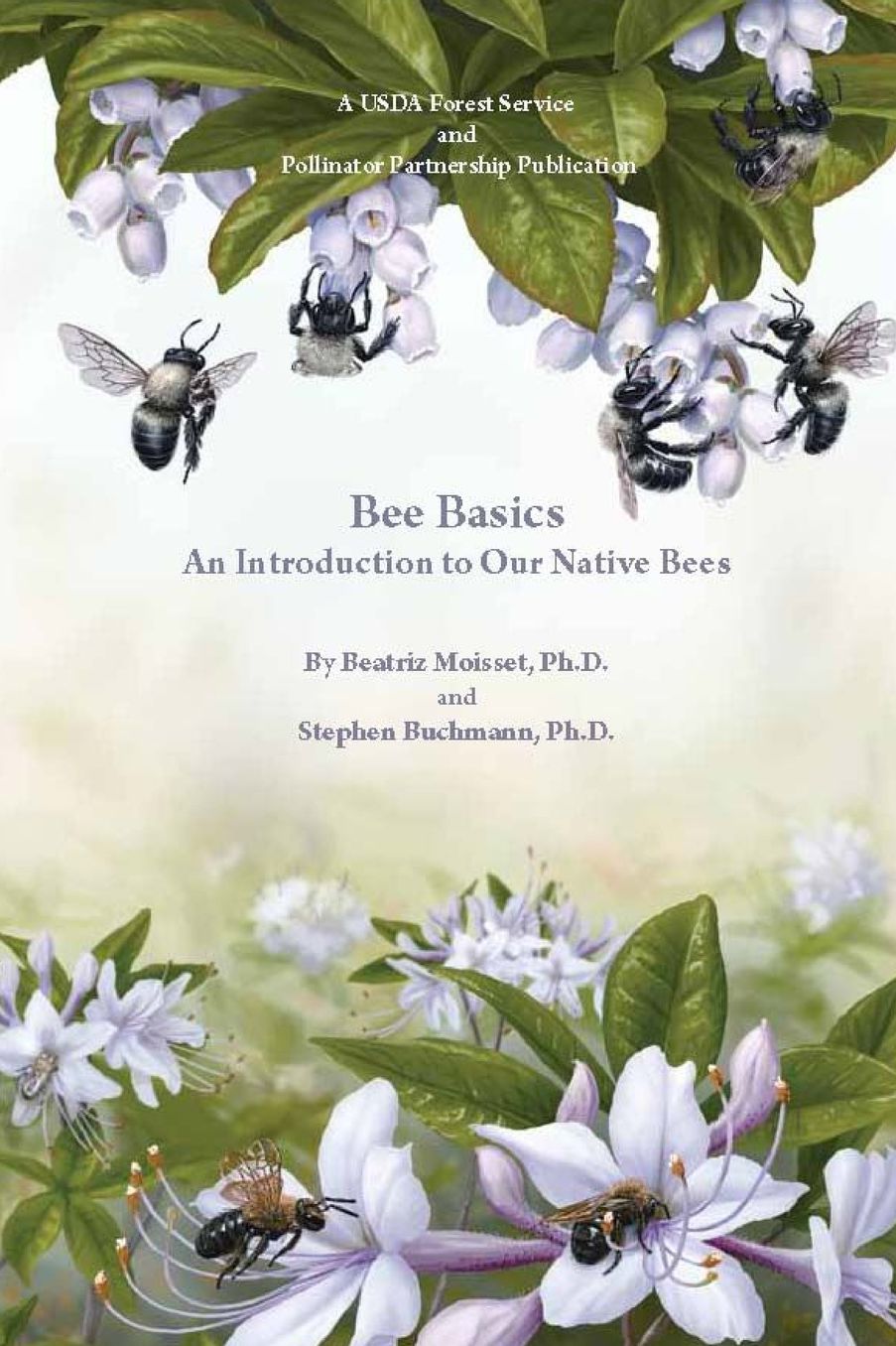 Bee Basics: An Introduction to Our Native Bees