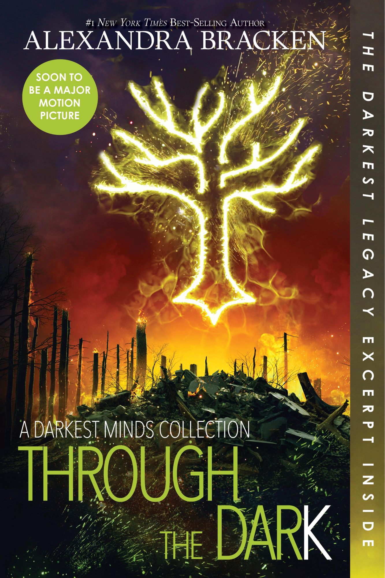 Through the Dark (Bonus Content) (A Darkest Minds Collection)