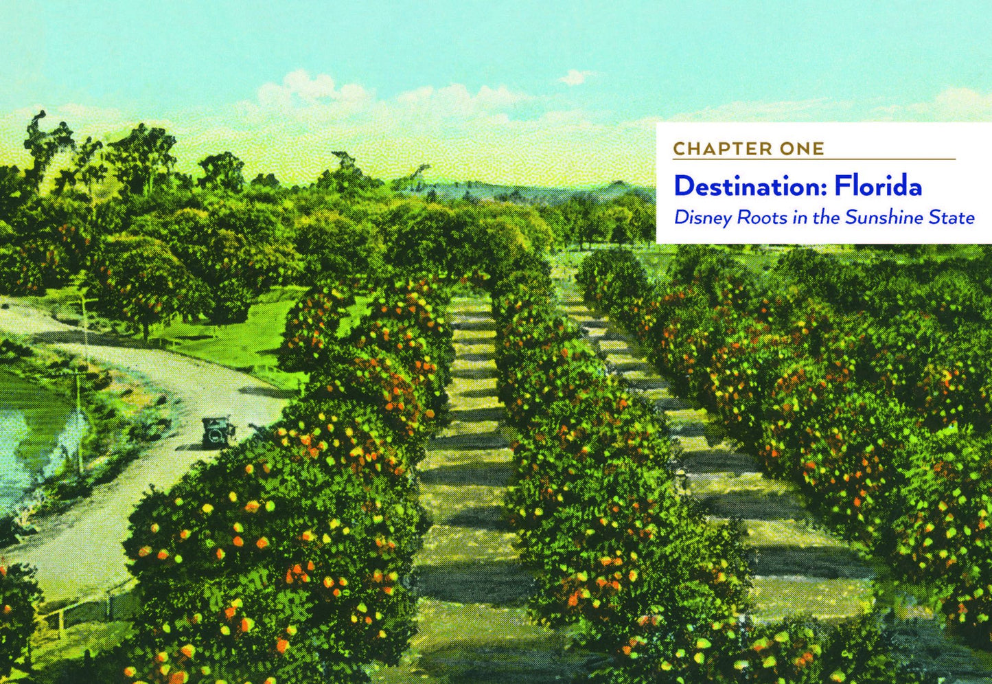 Walt Disney World: A Portrait of the First Half Century