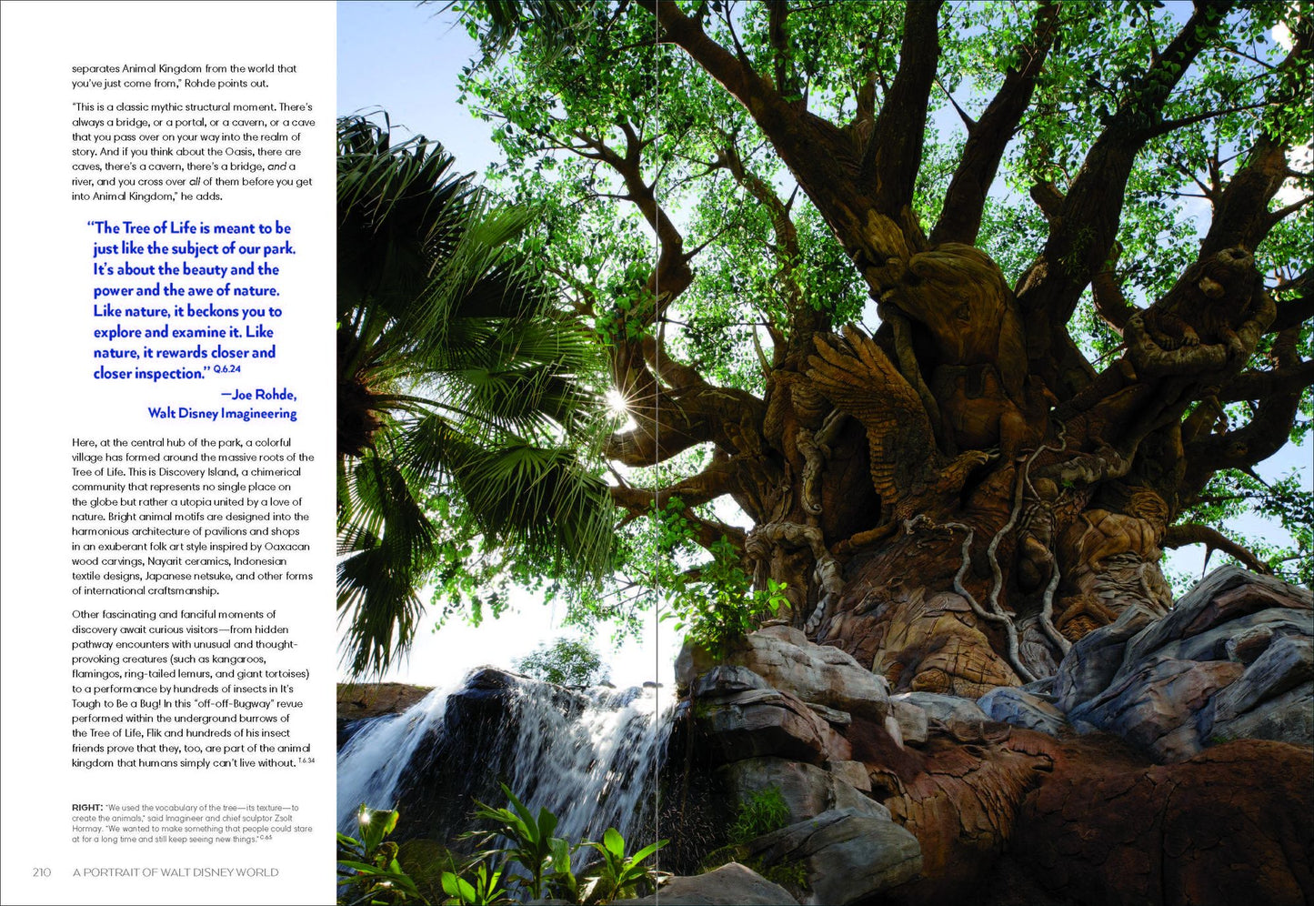 Walt Disney World: A Portrait of the First Half Century