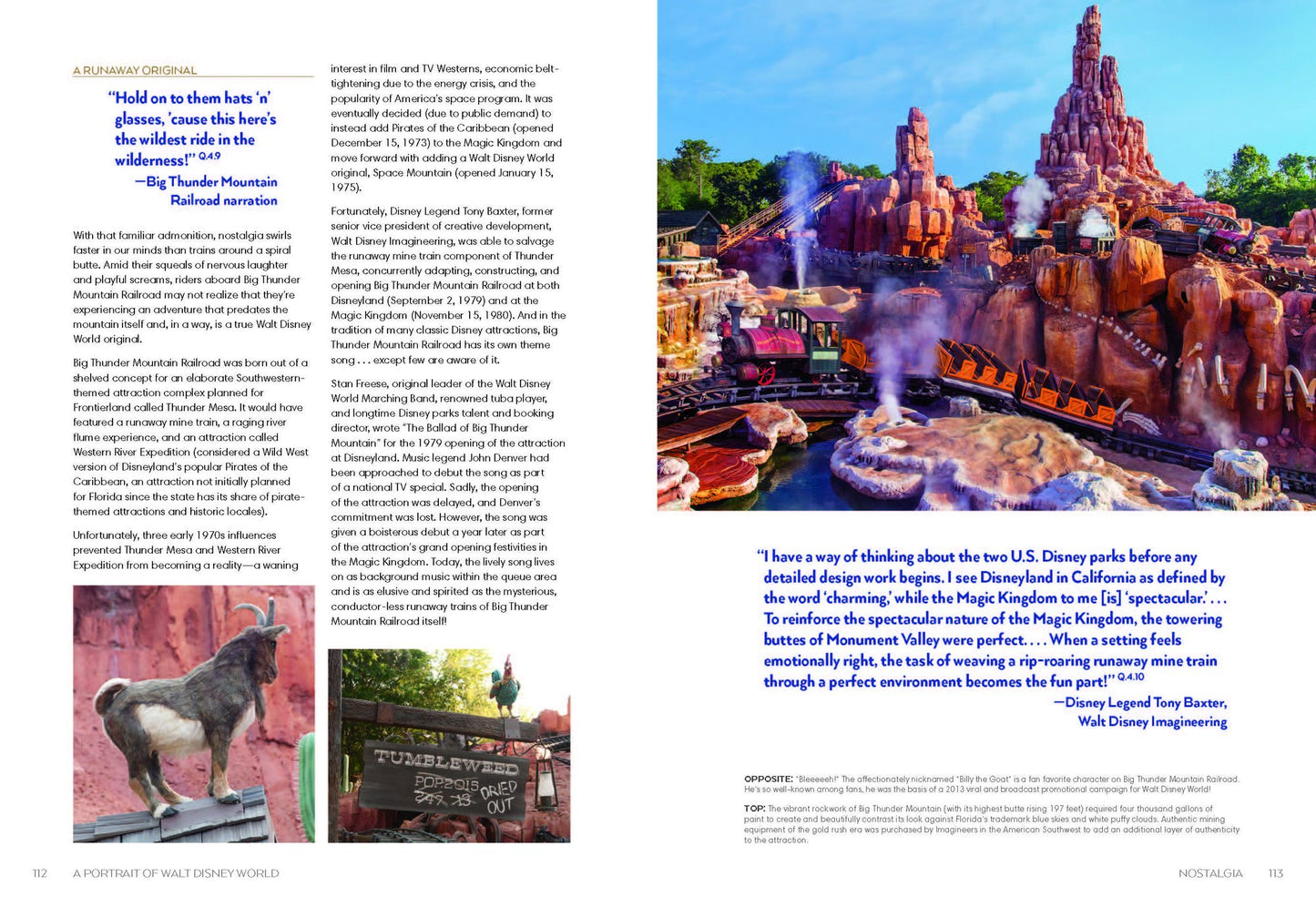 Walt Disney World: A Portrait of the First Half Century