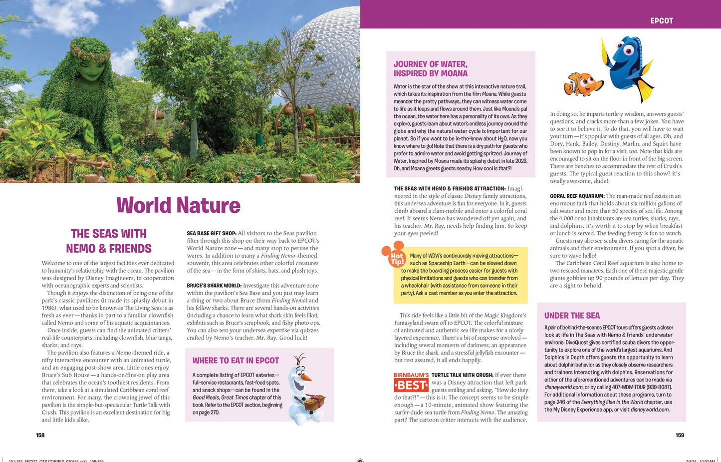 Birnbaum's 2025 Walt Disney World: The Official Vacation Guide