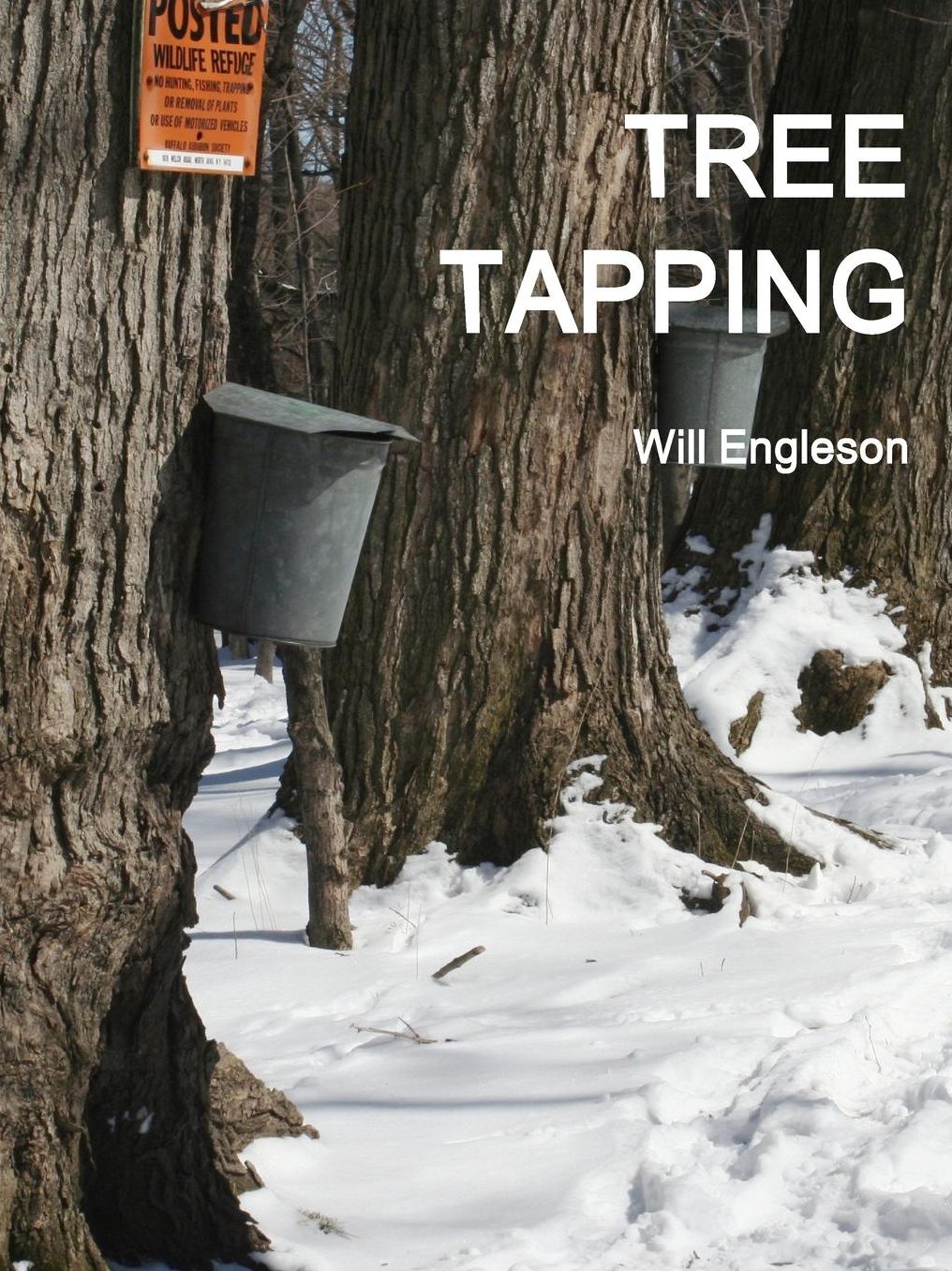Tree Tapping