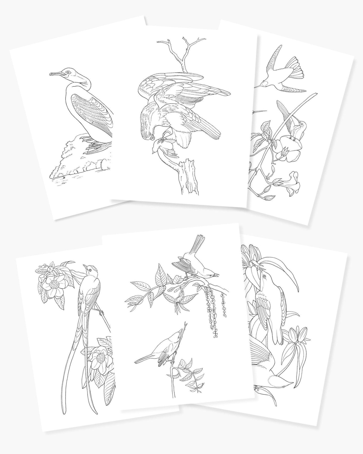 Audubon Birds Coloring: Includes a 64-Page Book, 6 Frameable Coloring Prints and 10 Pencils