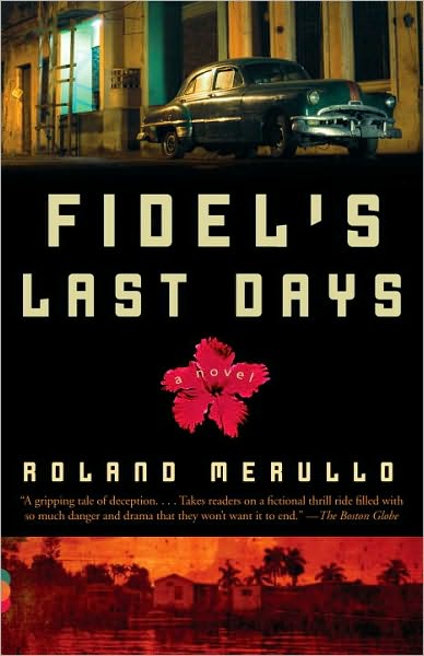 Fidel's Last Days: A Novel