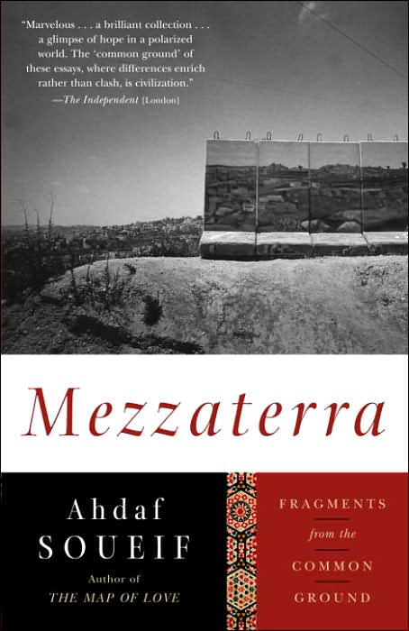 Mezzaterra: Fragments from the Common Ground