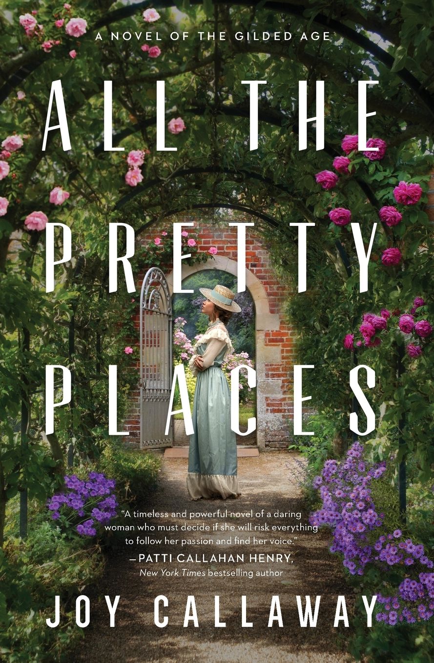 All the Pretty Places: A Novel of the Gilded Age