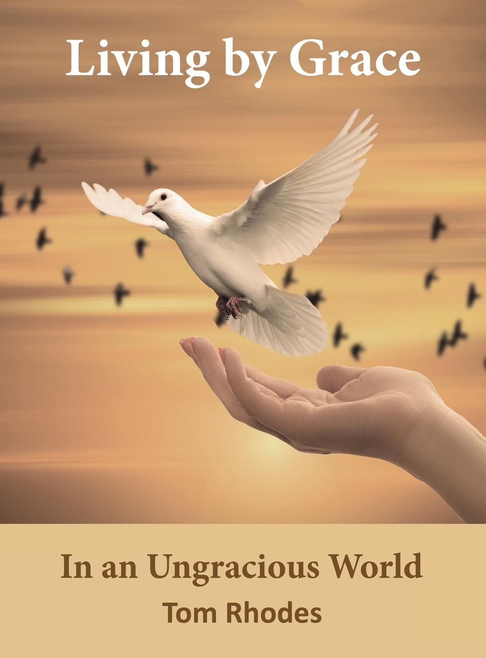 Living by Grace: In an Ungracious World