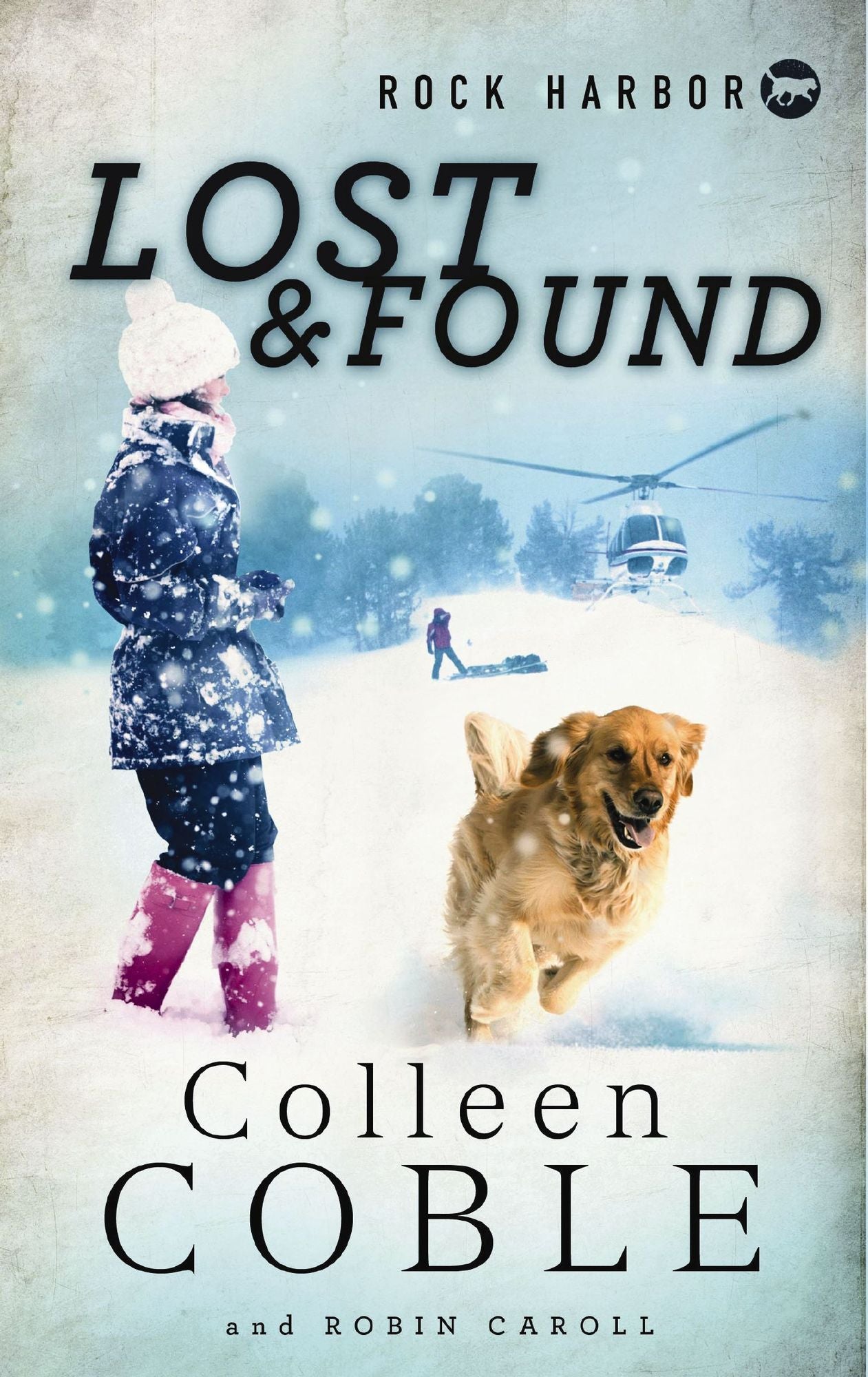 Rock Harbor Search and Rescue: Lost and Found