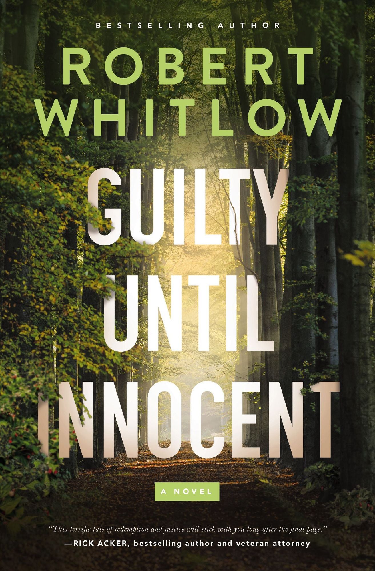Guilty Until Innocent: A Novel