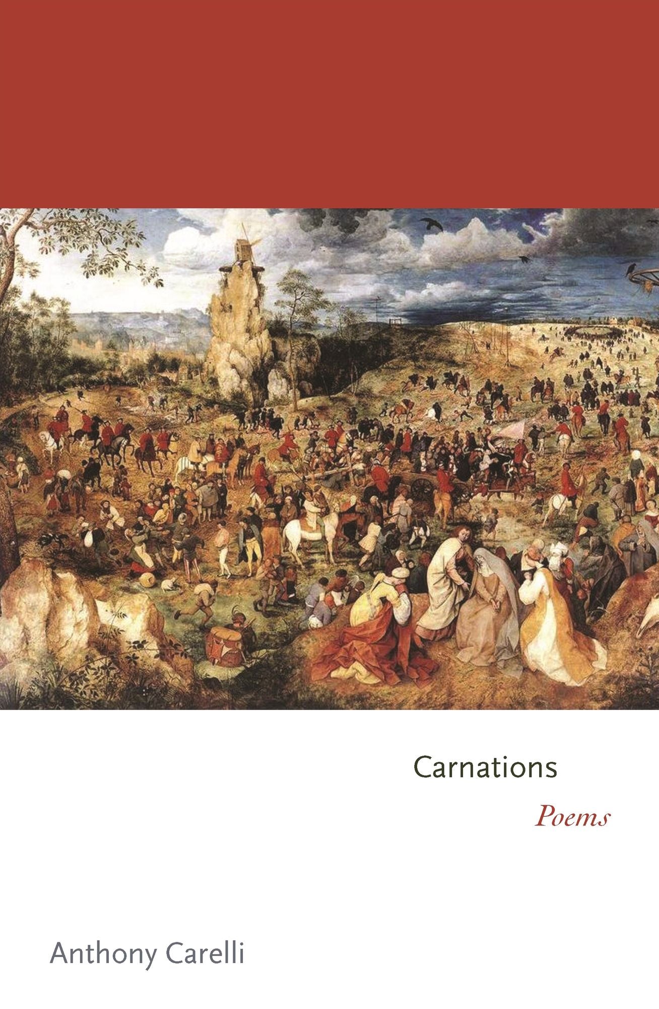 Carnations