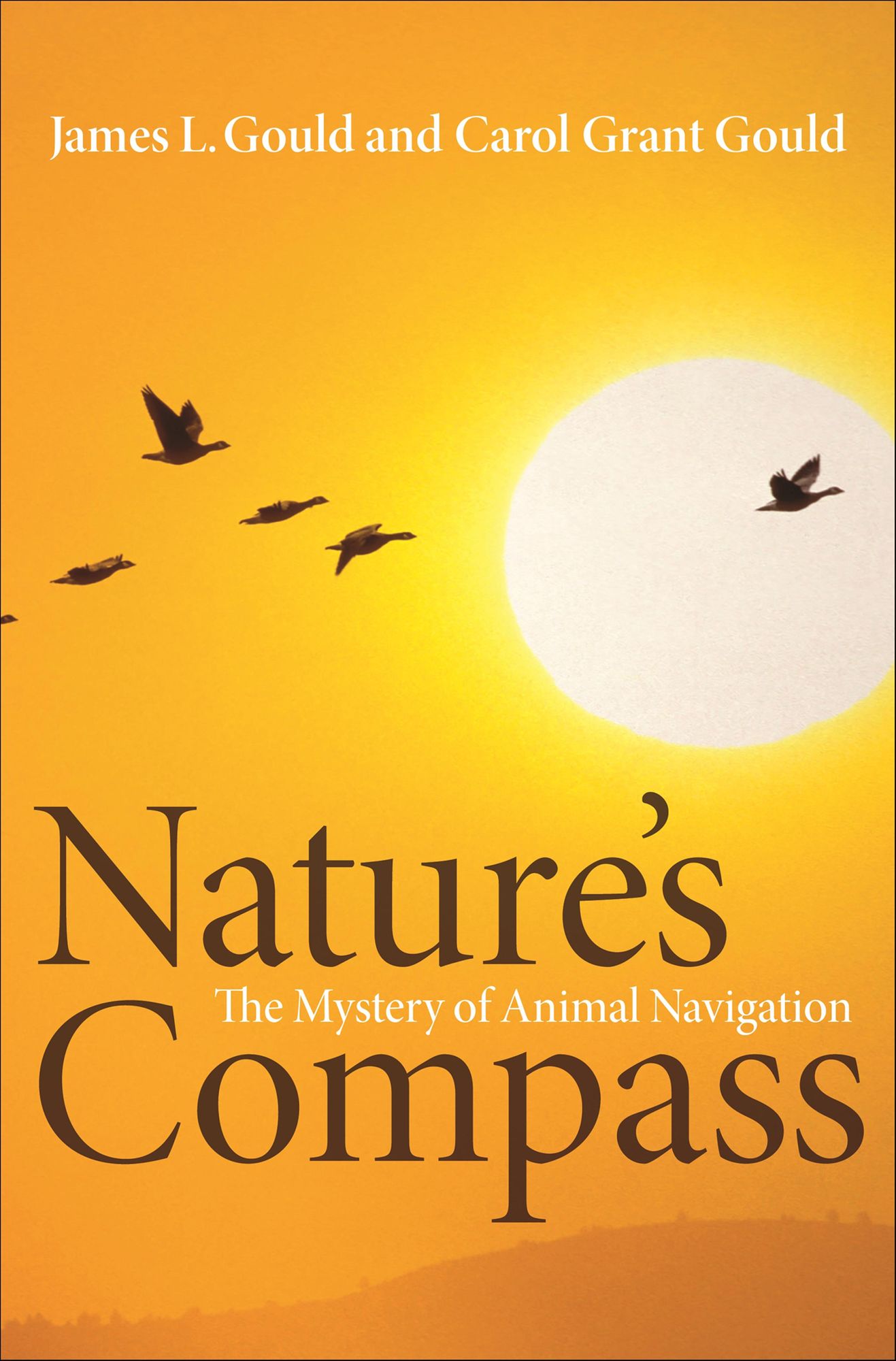 Nature's Compass: The Mystery of Animal Navigation
