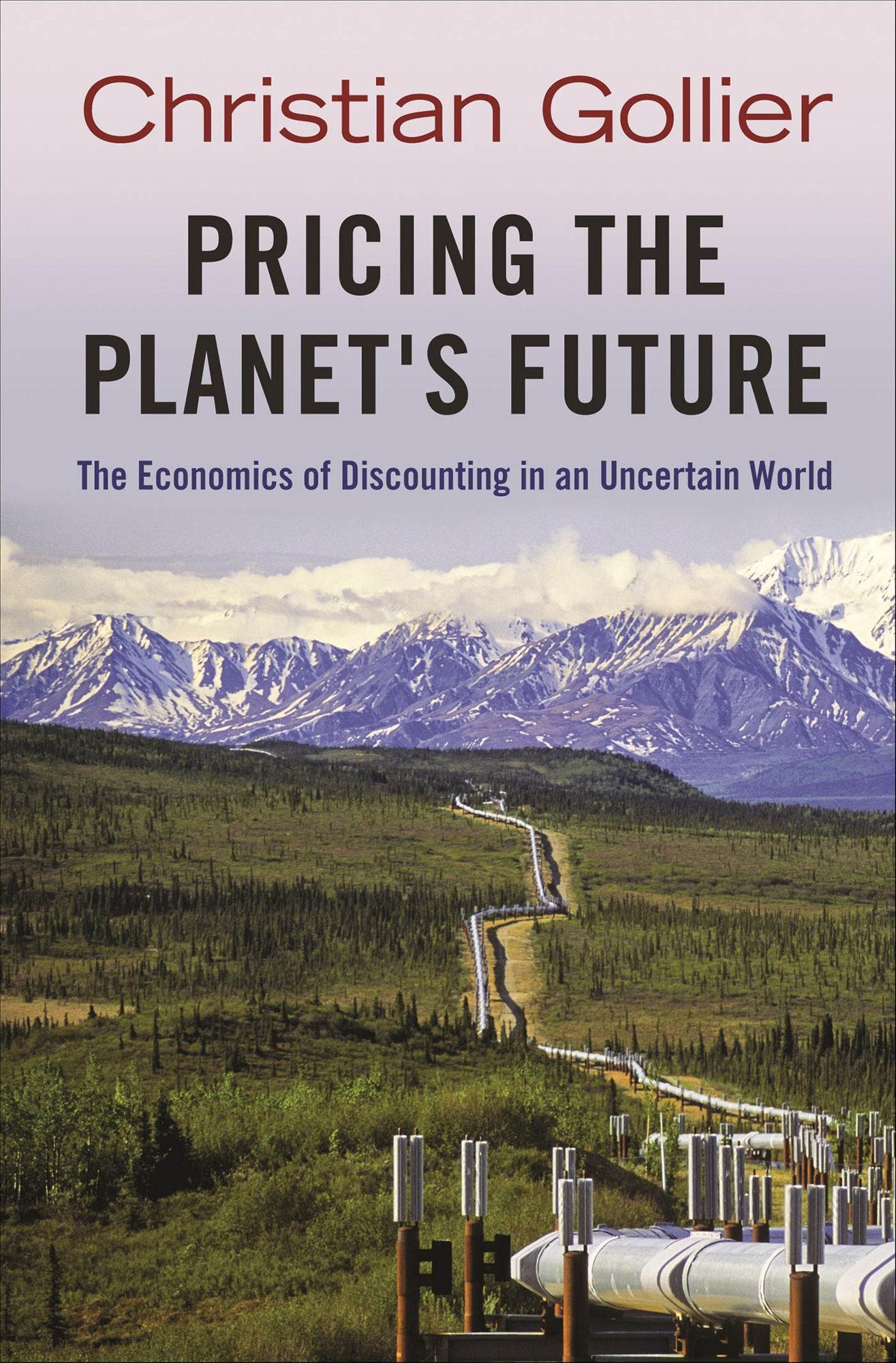Pricing the Planet's Future: The Economics of Discounting in an Uncertain World