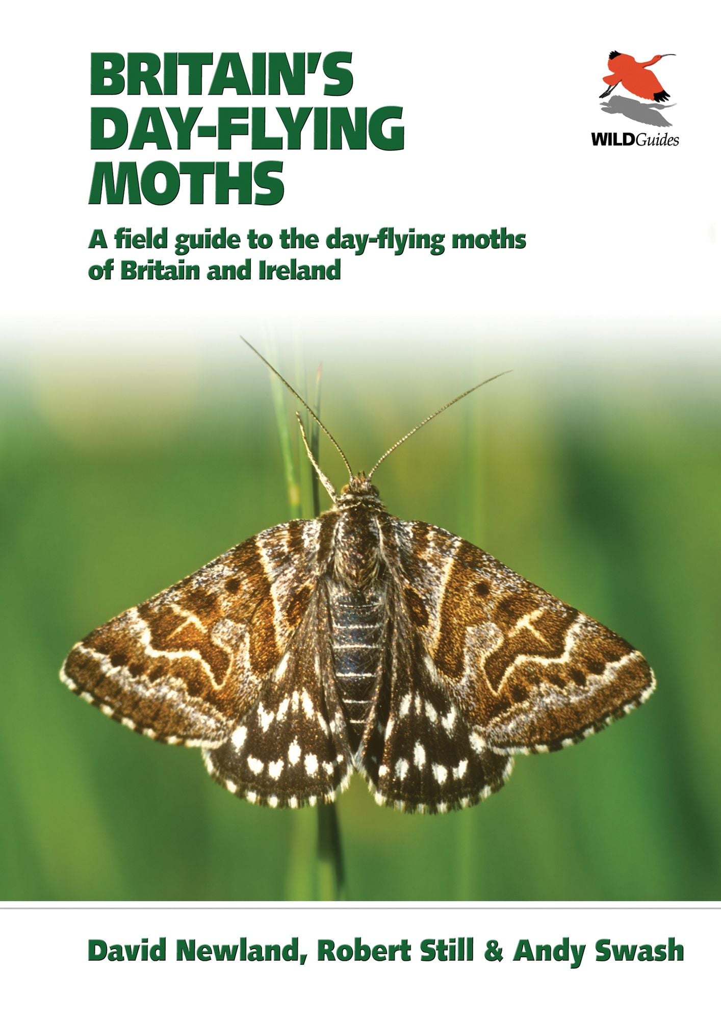 Britain's Day-flying Moths: A Field Guide to the Day-flying Moths of Britain and Ireland