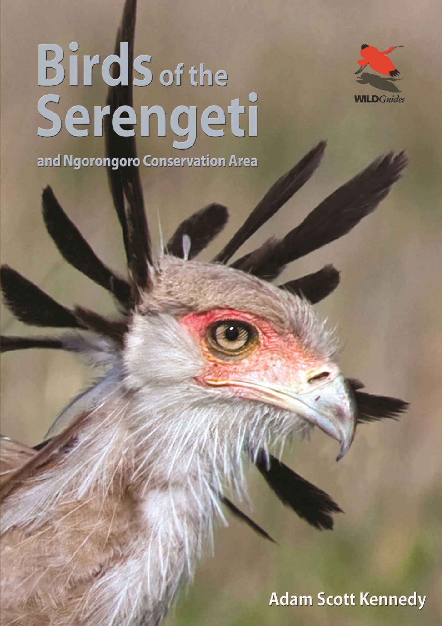 Birds of the Serengeti: And Ngorongoro Conservation Area
