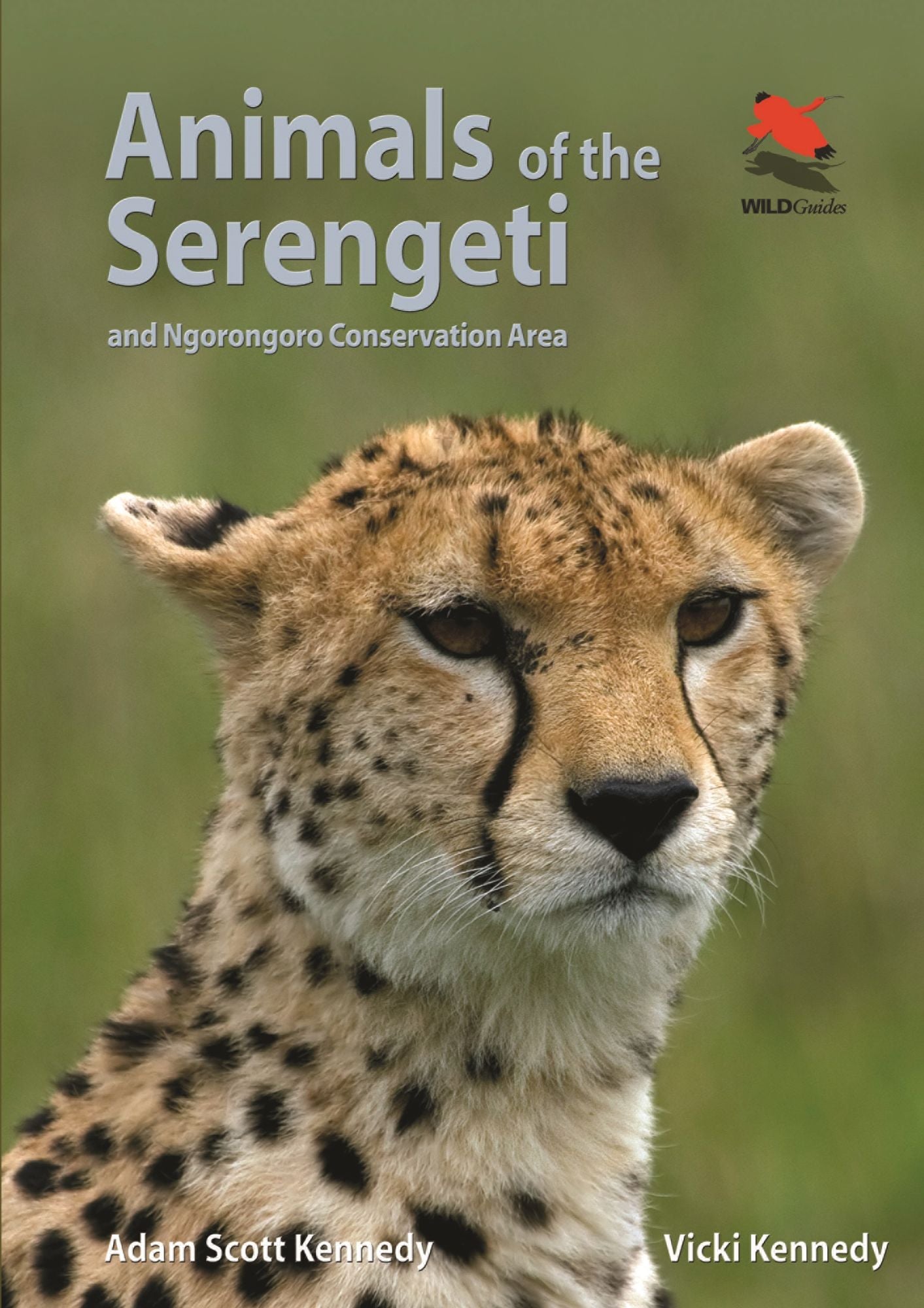 Animals of the Serengeti: And Ngorongoro Conservation Area