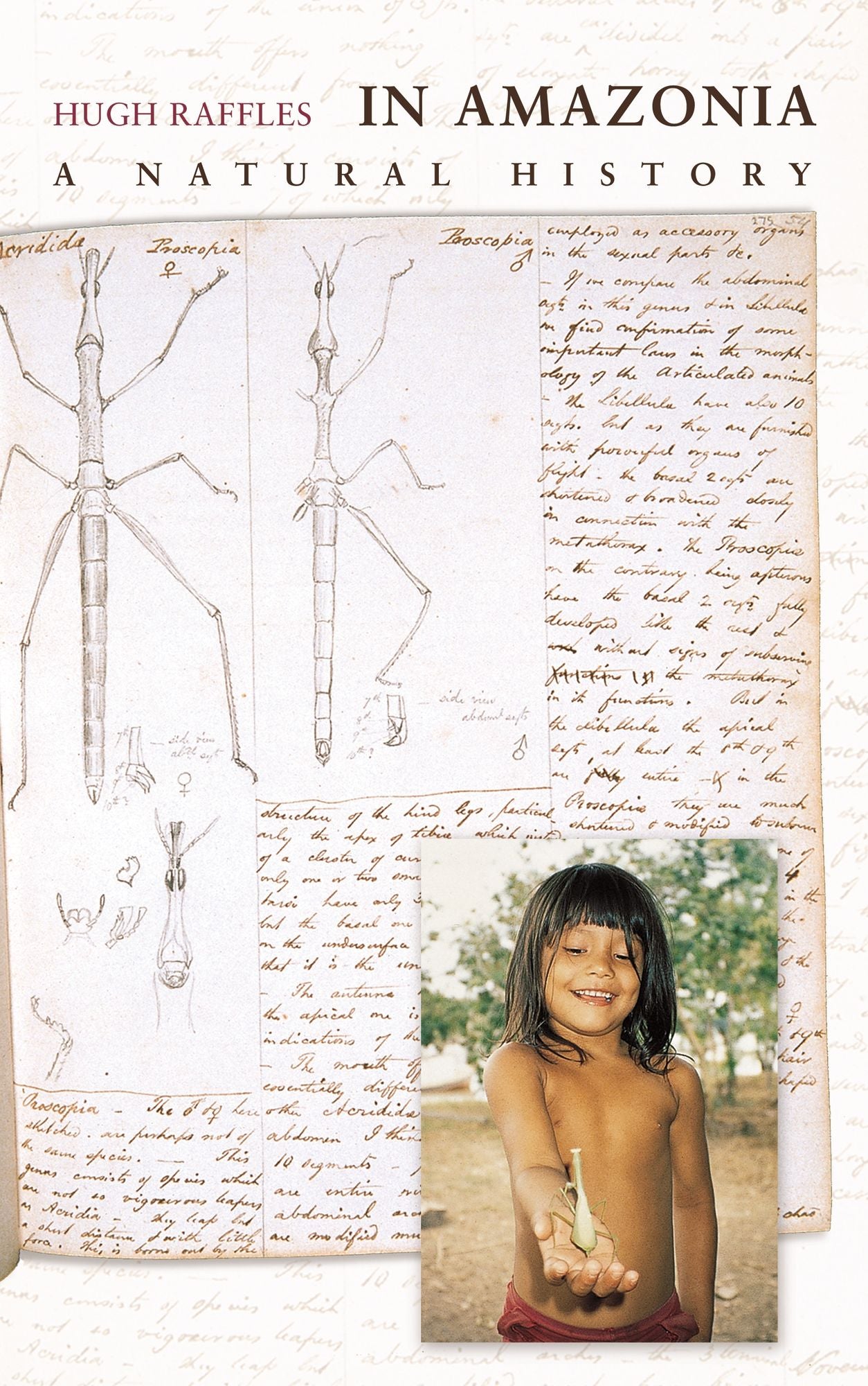 In Amazonia: A Natural History