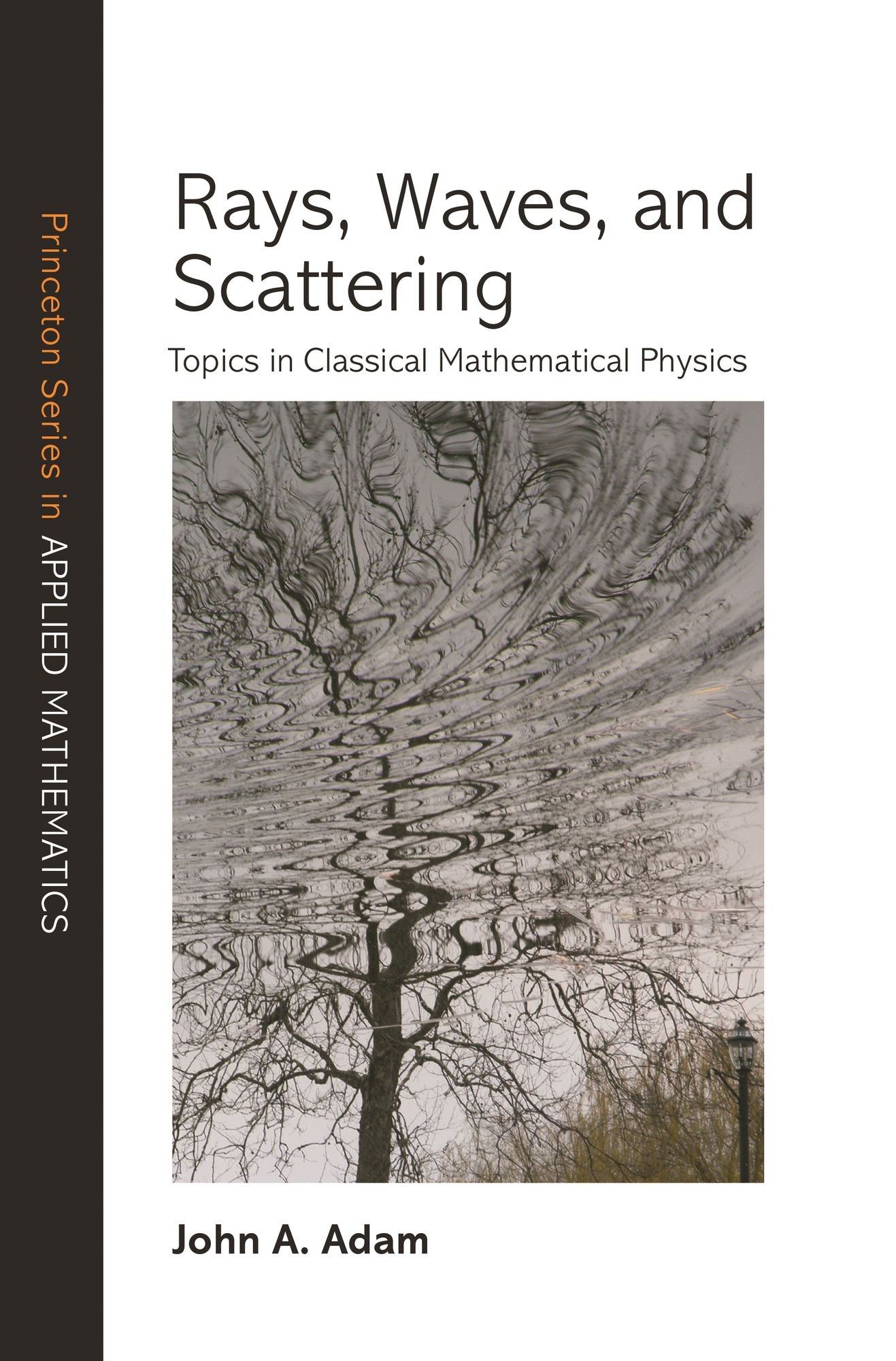 Rays, Waves, and Scattering: Topics in Classical Mathematical Physics
