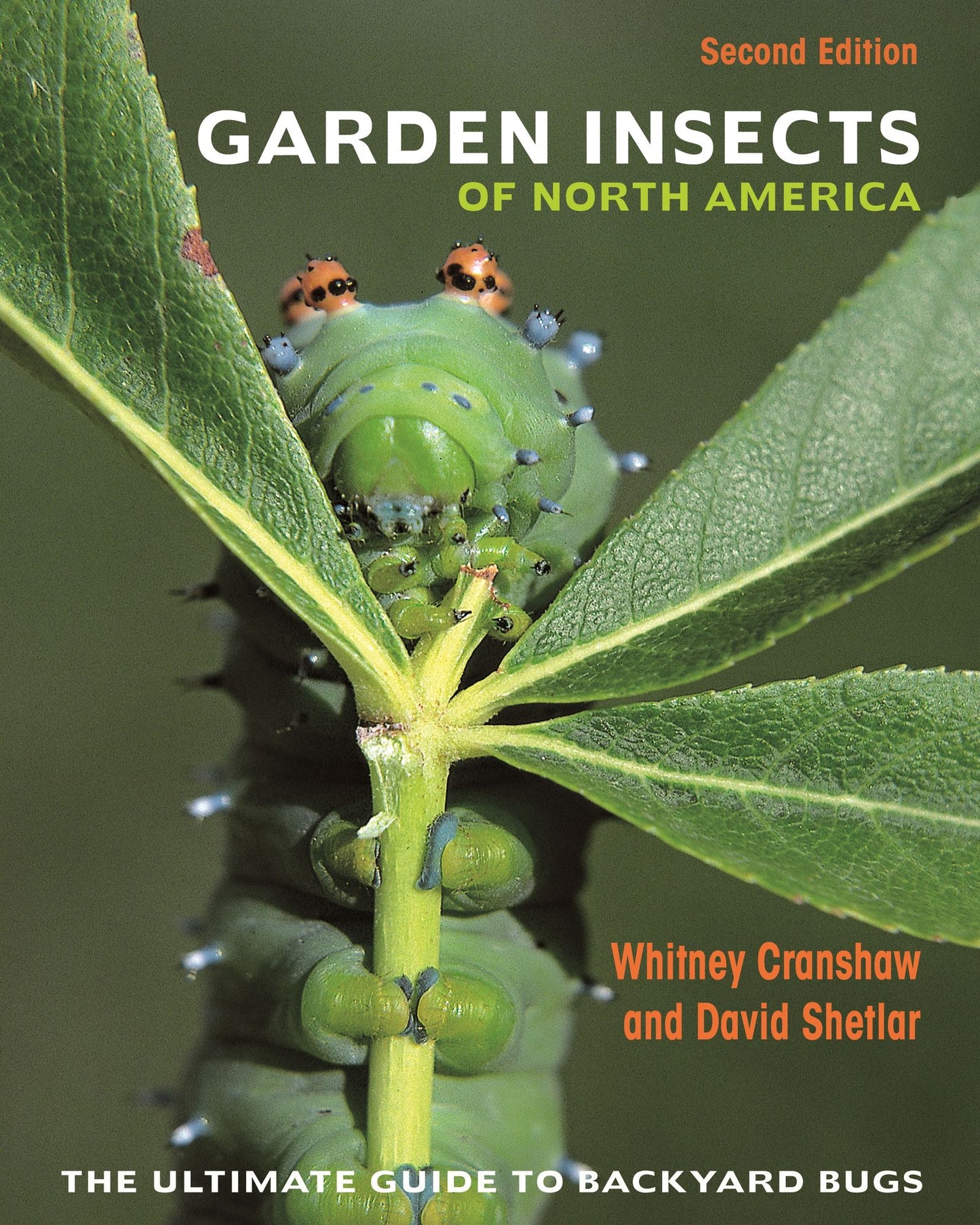 Garden Insects of North America: The Ultimate Guide to Backyard Bugs