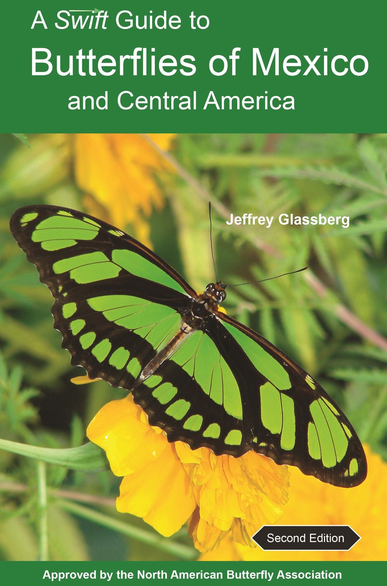 A Swift Guide to Butterflies of Mexico and Central America: Second Edition