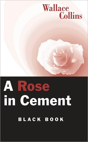 A Rose in Cement