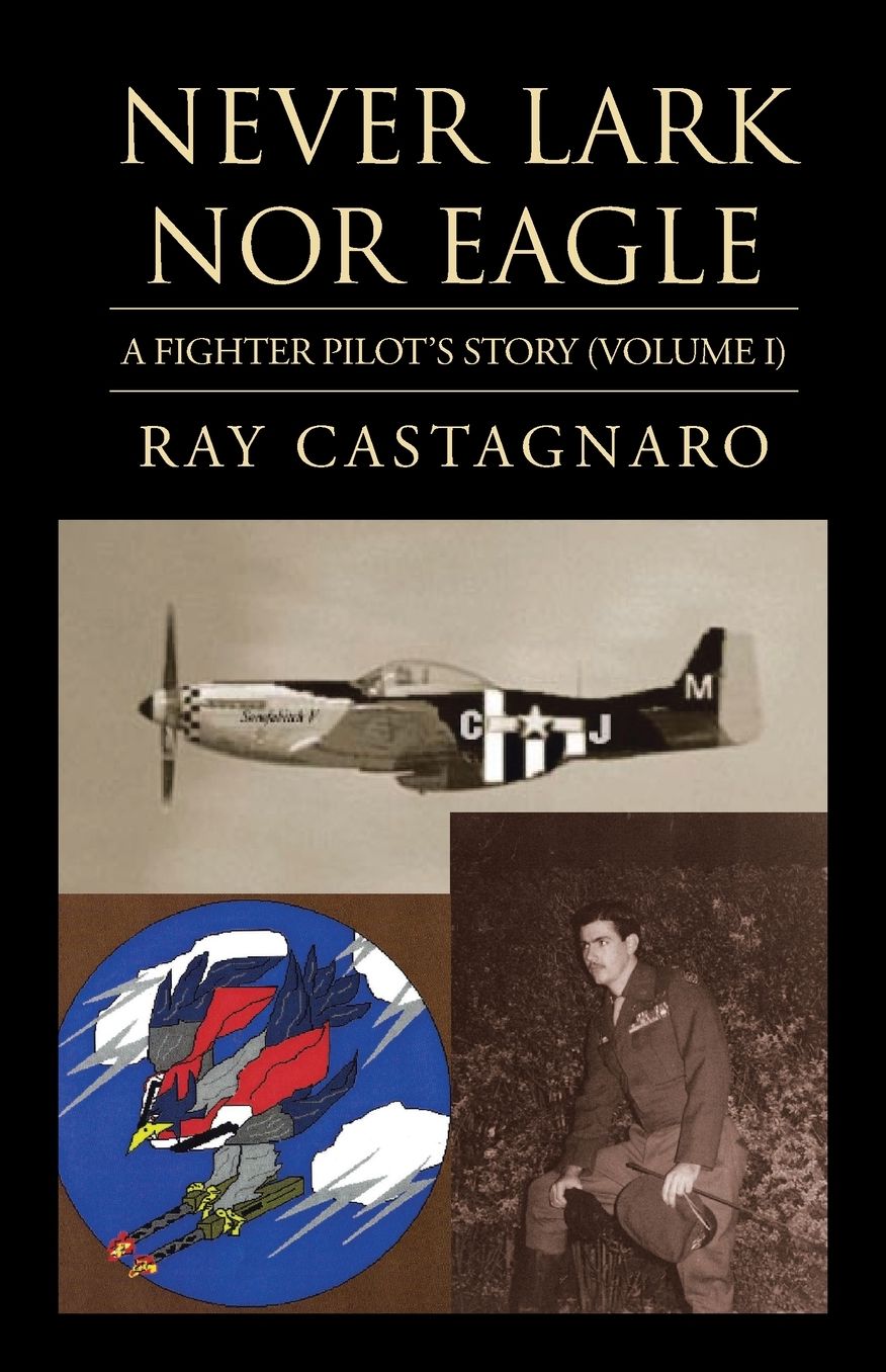 A Fighter Pilot's Story (Never Lark nor Eagle Series)