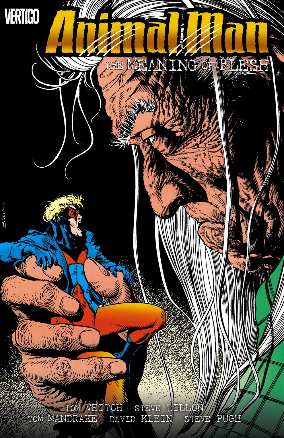 Animal Man Vol. 5: The Meaning of Flesh (NOOK Comic with Zoom View)