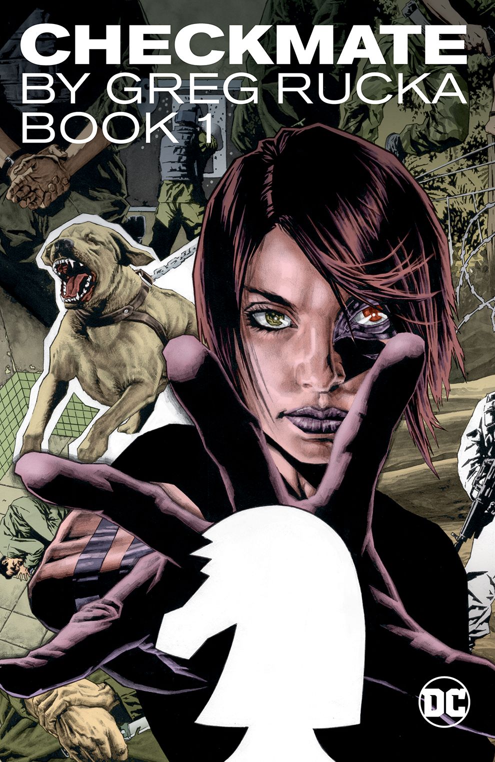 Checkmate By Greg Rucka Book 1 (NOOK Comics with Zoom View)