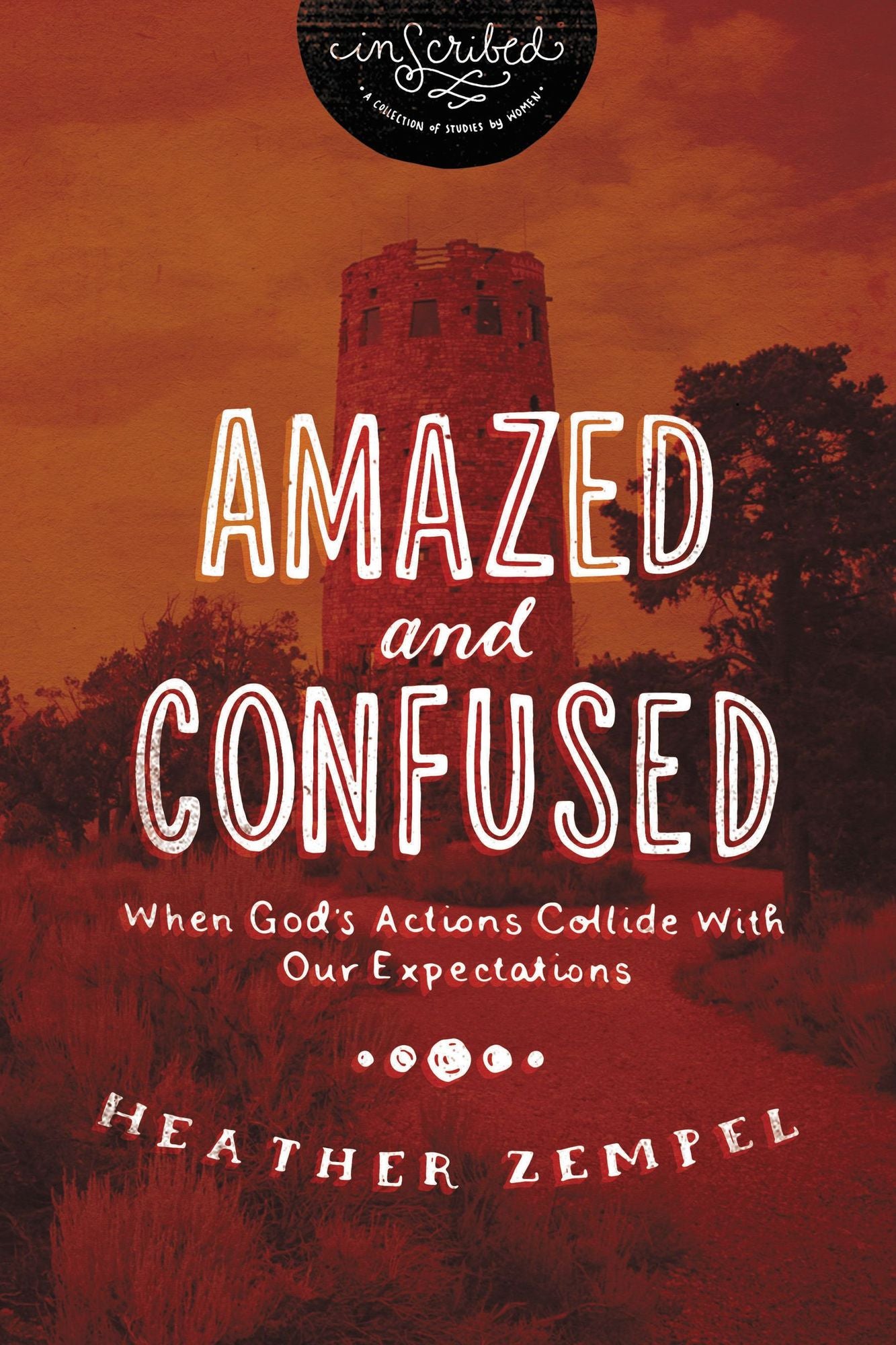 Amazed and Confused : When God's Actions Collide With Our Expectations