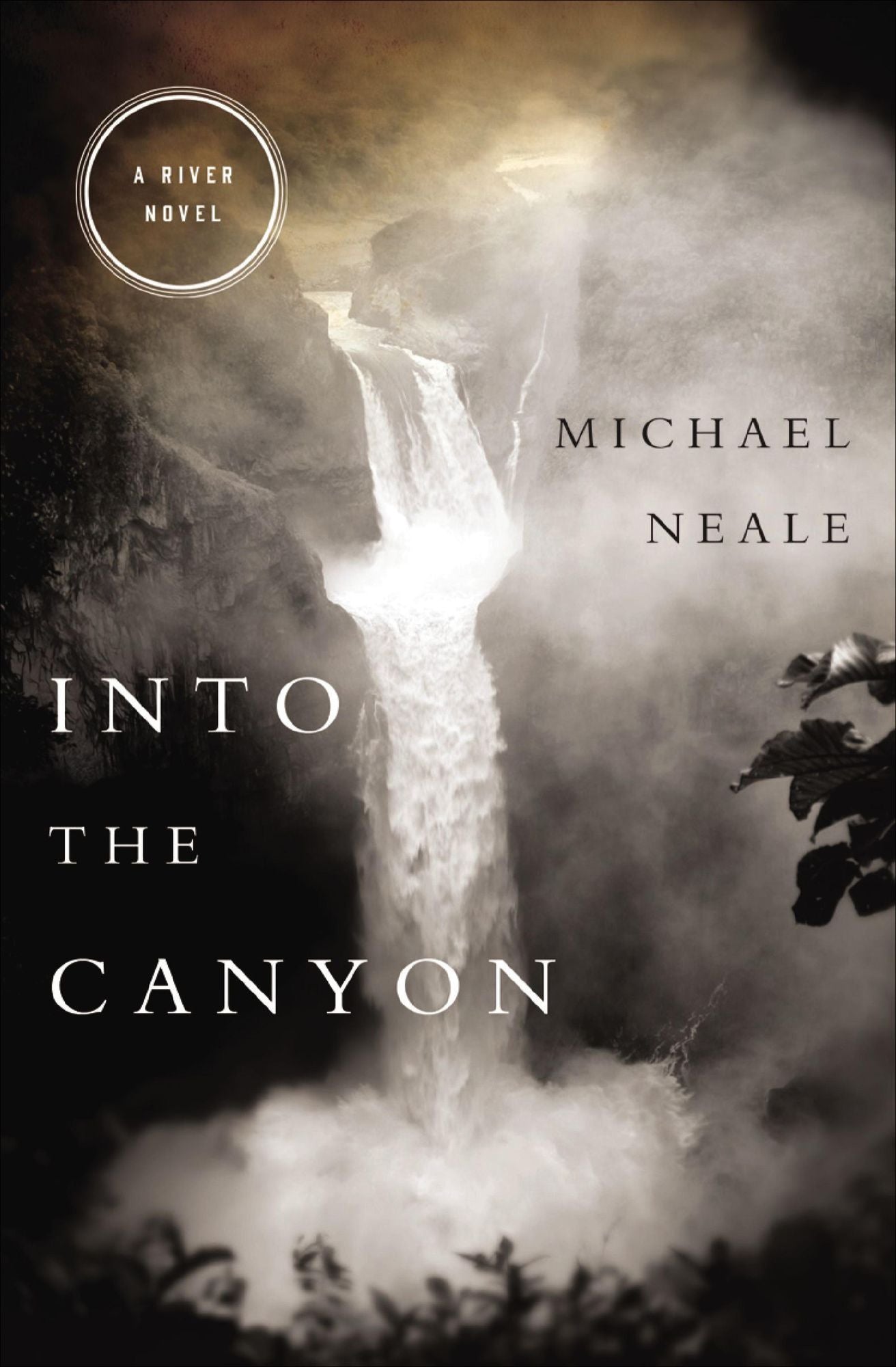 Into the Canyon: A River Novel