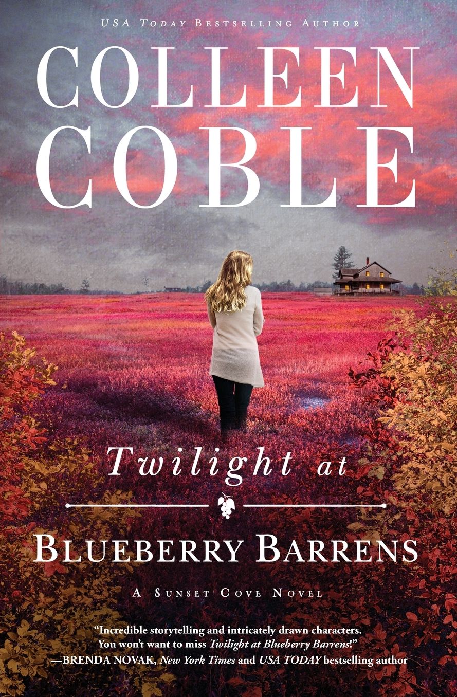 Twilight at Blueberry Barrens