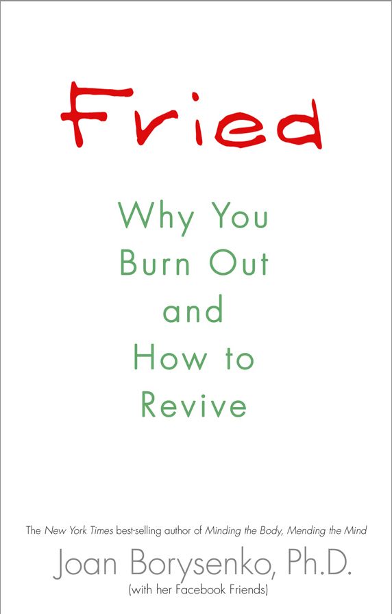 Fried: Why You Burn Out and How to Revive
