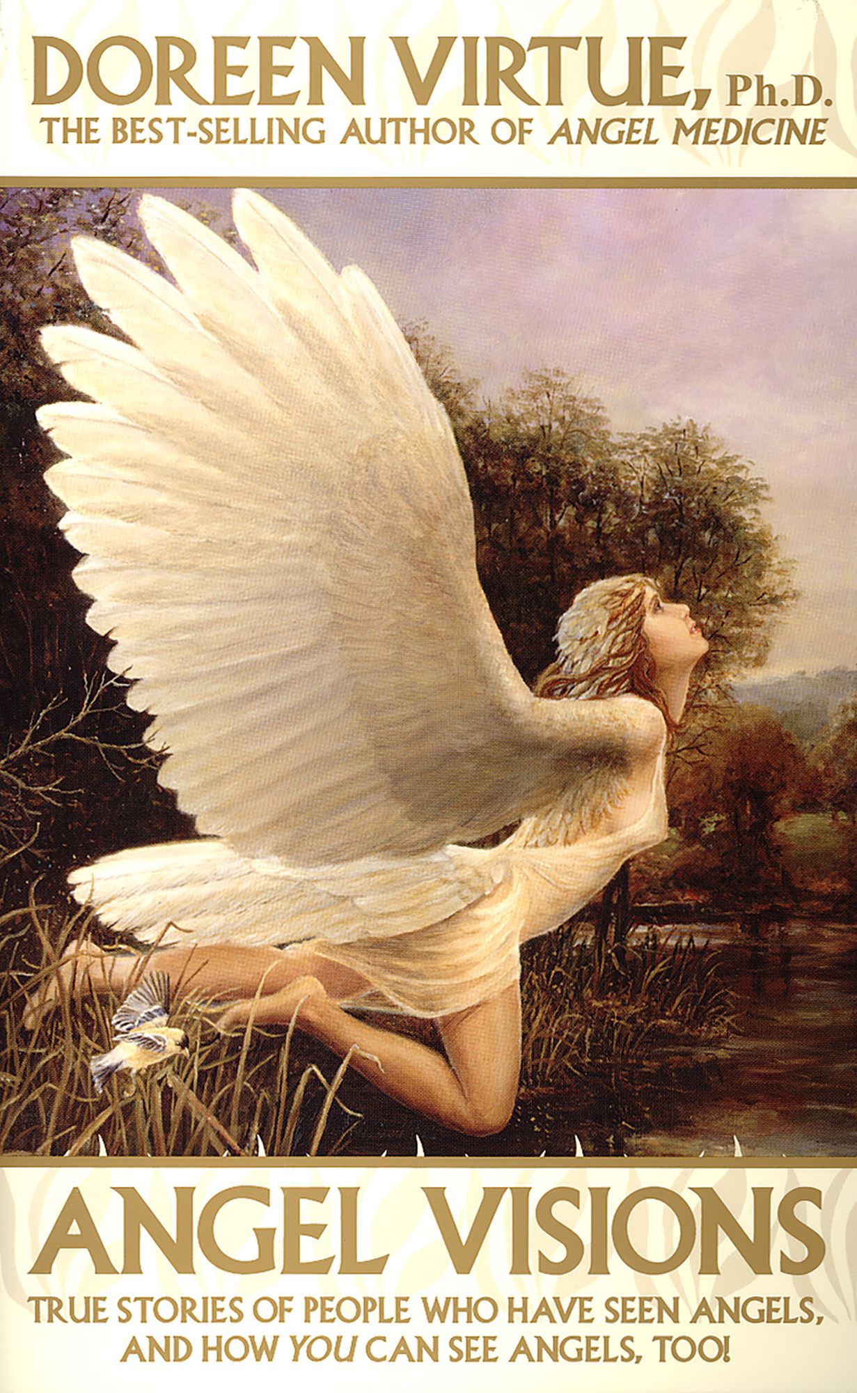 Angel Visions: True Stories of People Who Have Seen Angels, and How You Can See Angels Too!